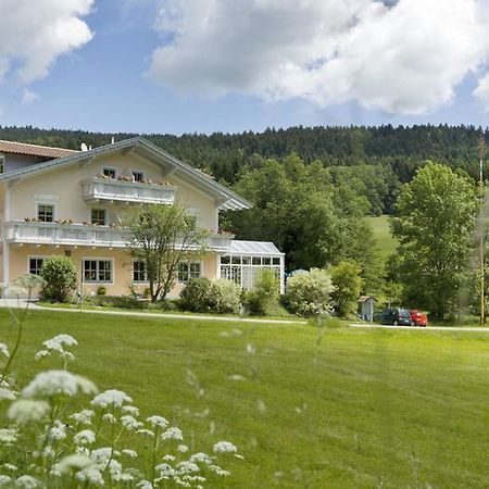 Landgasthof Zum Hirschenstein, Pension Garni Sankt Englmar Kültér fotó