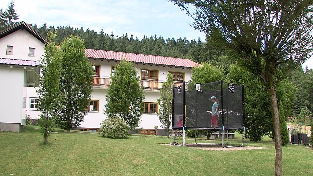 Landgasthof Zum Hirschenstein, Pension Garni Sankt Englmar Kültér fotó