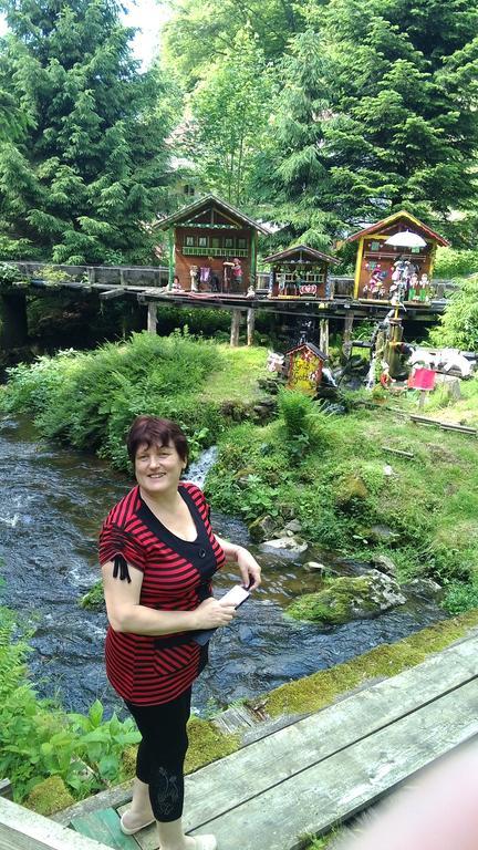 Landgasthof Zum Hirschenstein, Pension Garni Sankt Englmar Kültér fotó