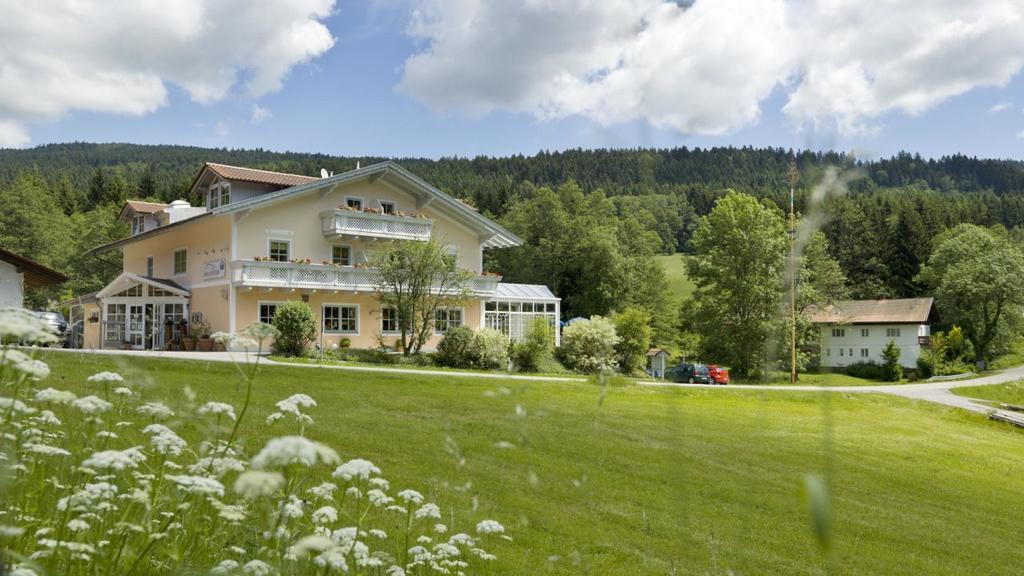 Landgasthof Zum Hirschenstein, Pension Garni Sankt Englmar Kültér fotó
